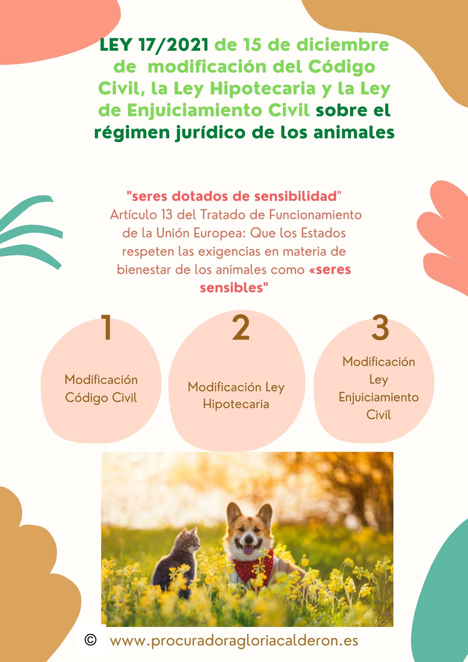 Ley sobre el régimen jurídico de los animales